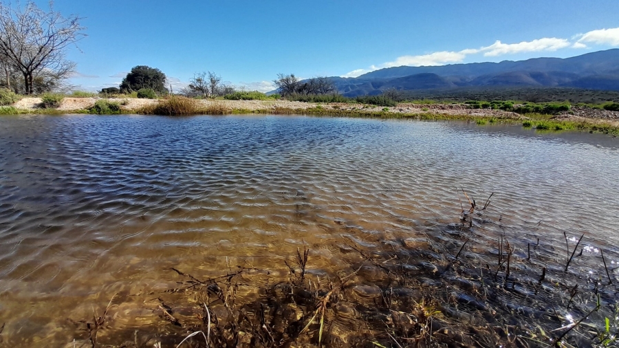 2 Bedroom Property for Sale in Ladismith Rural Western Cape